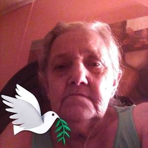 Meet your Posher, Dianne